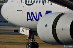 777