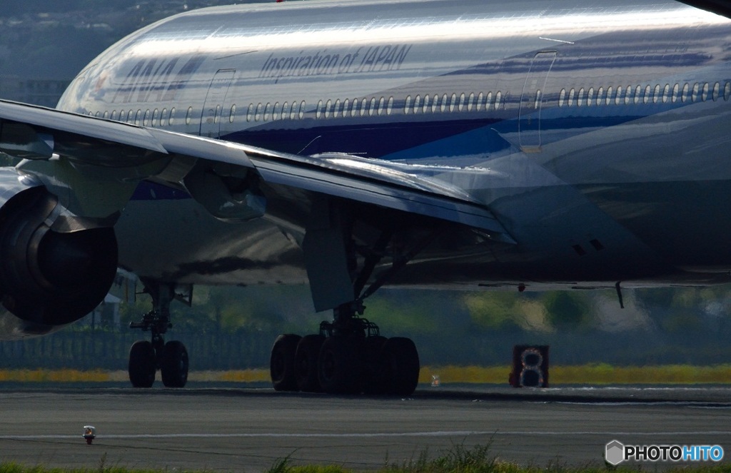 本日撮影分よりぃ～