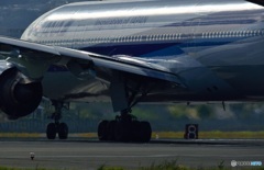 本日撮影分よりぃ～