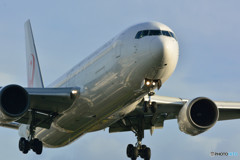 767