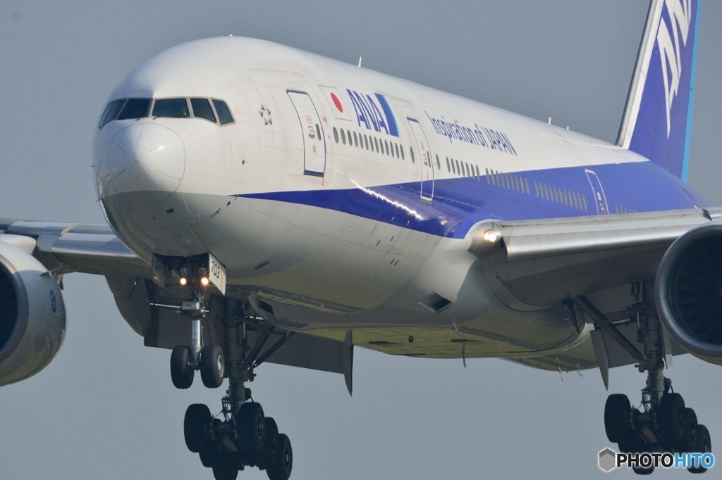 トリプルランディング