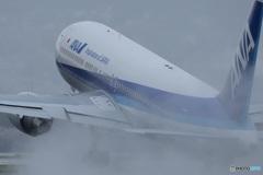 JA8579