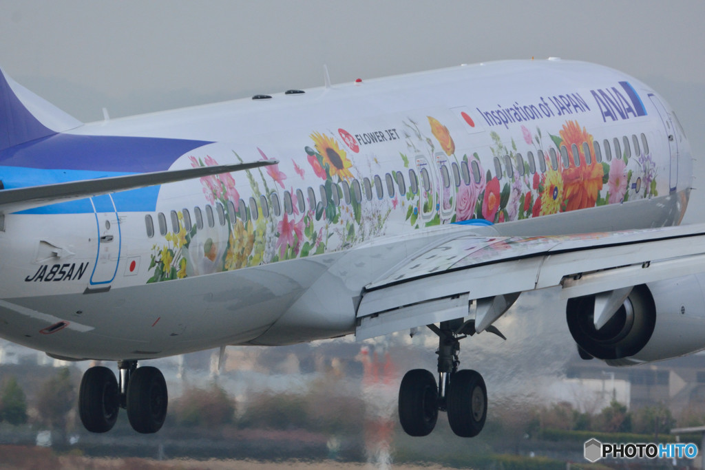 FLOWER JET