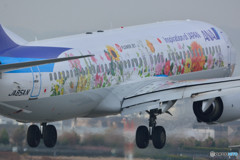 FLOWER JET