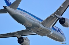 787