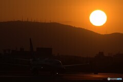2025 初日の出