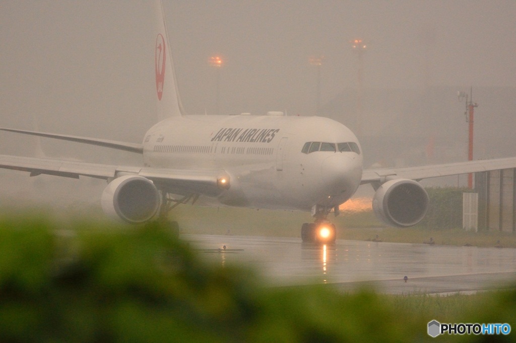 雨の千里川