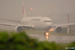 雨の千里川