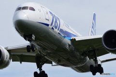 JA817A