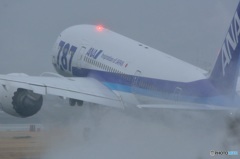 787