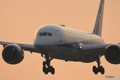 JA810A