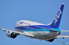 737