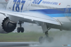 JA817A