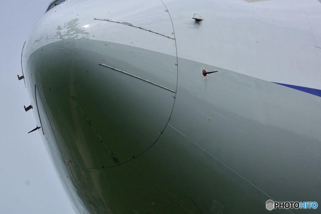 ７３７の鼻