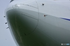 ７３７の鼻