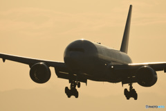JA007D