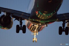 737-8 ana