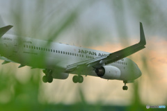JA323J