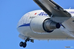 767