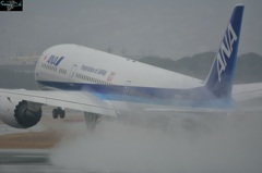 ｔｏｍｏｄａｃｈｉ