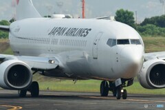 JA311J