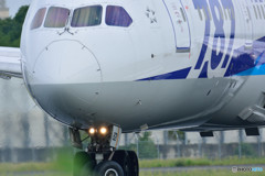 787