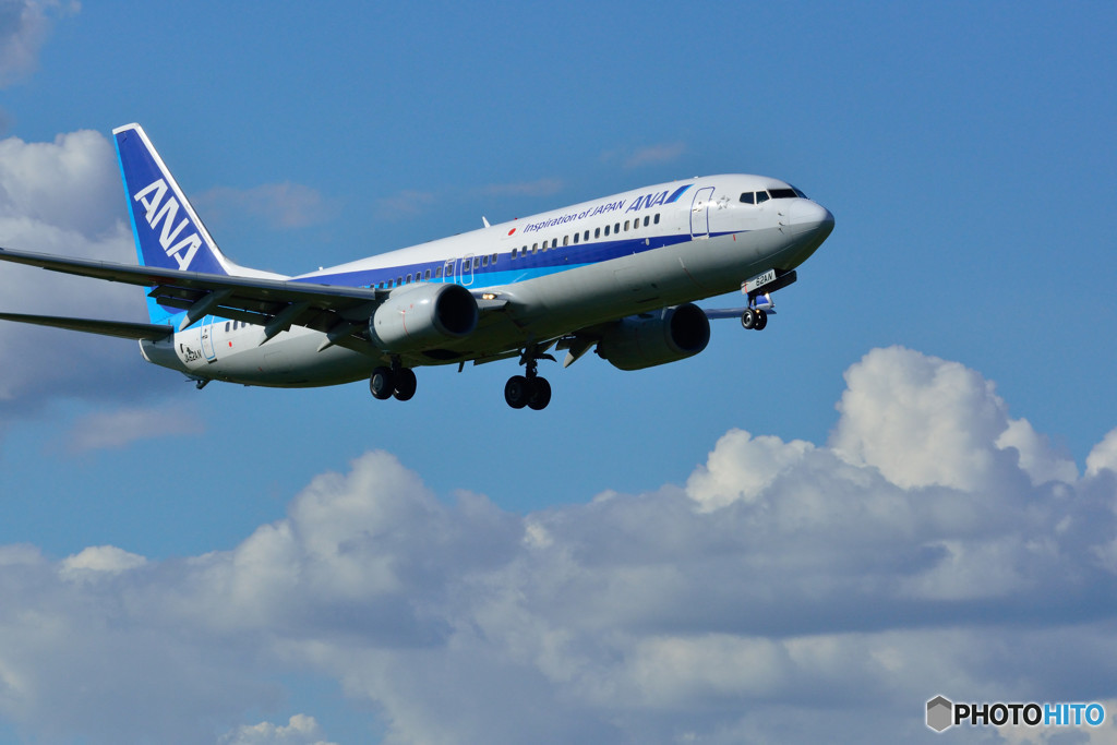 737