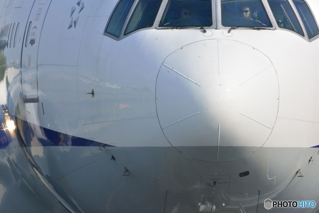 トリプルポートレート