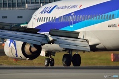 737