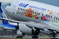JA85AN