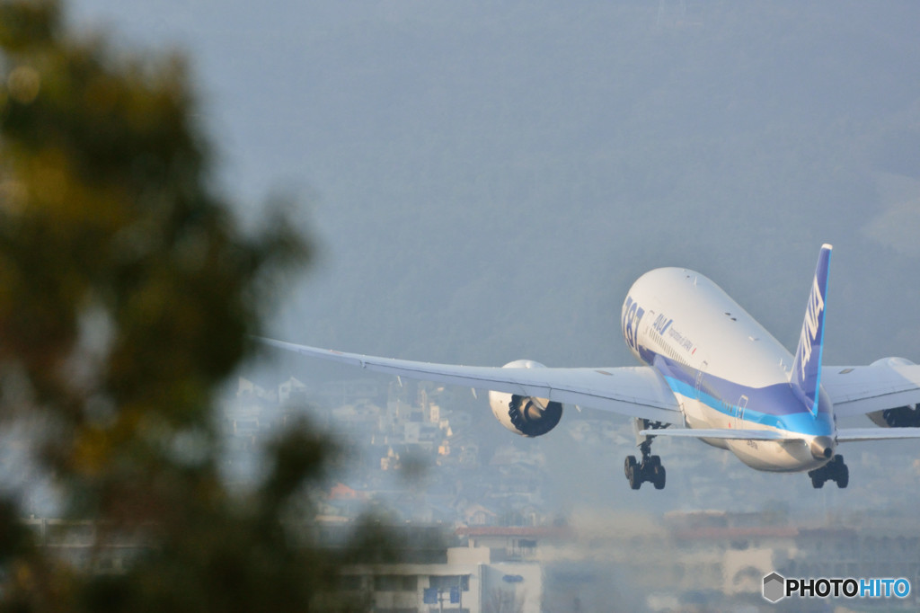 787