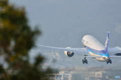 787