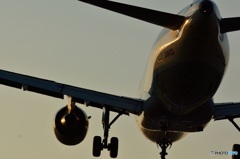 Ａ３２０