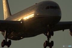 JA817A