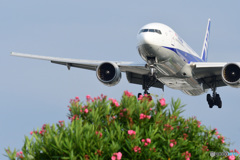 JA703A