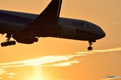 777