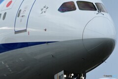JA817A