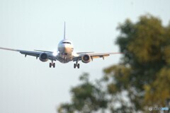 JA85AN