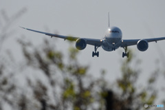 JA833A