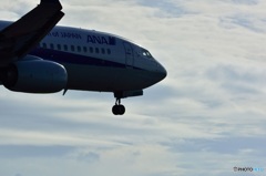 737-800　　その2