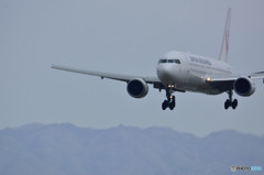 767