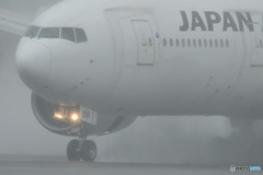 JA008D