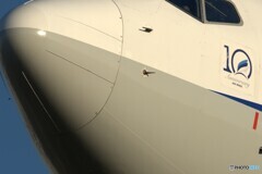 JA86AN