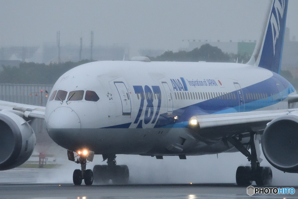 JA817A　雨のスカイパーク　B787