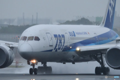 JA817A　雨のスカイパーク　B787