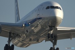 JA819A
