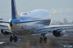 JA81AN