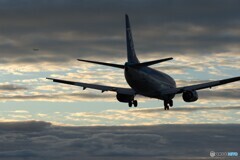 737