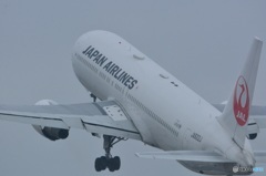 767