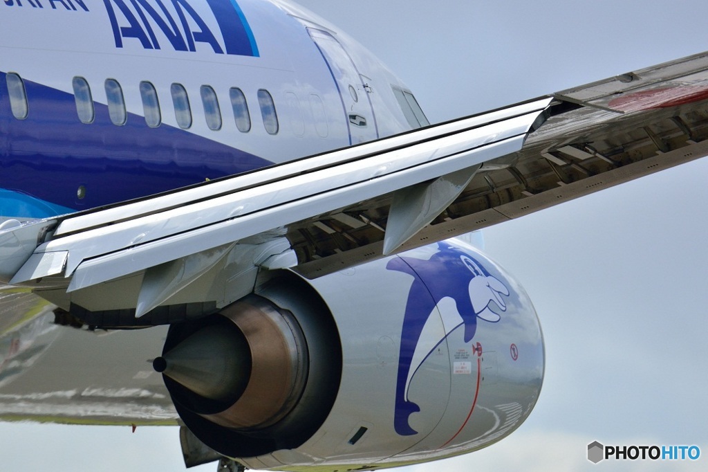 すーばードルフィン